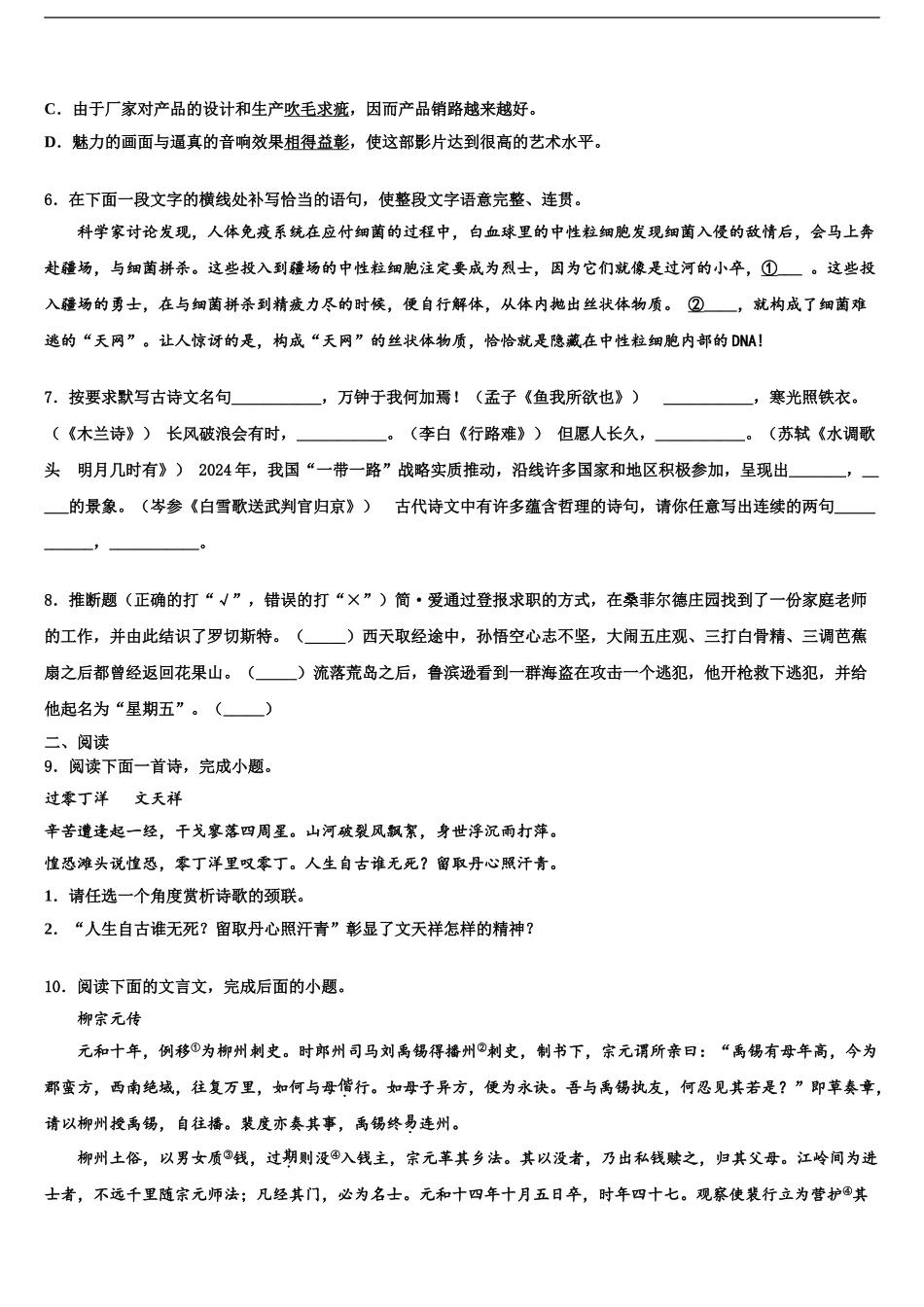 2024年江苏省盐城市大丰区市级名校中考适应性考试语文试题含解析_第2页