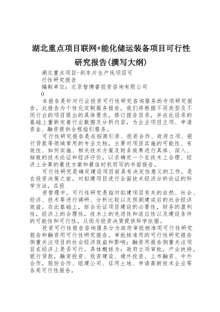 湖北重点项目联网+能化储运装备项目可行性研究报告(撰写大纲)