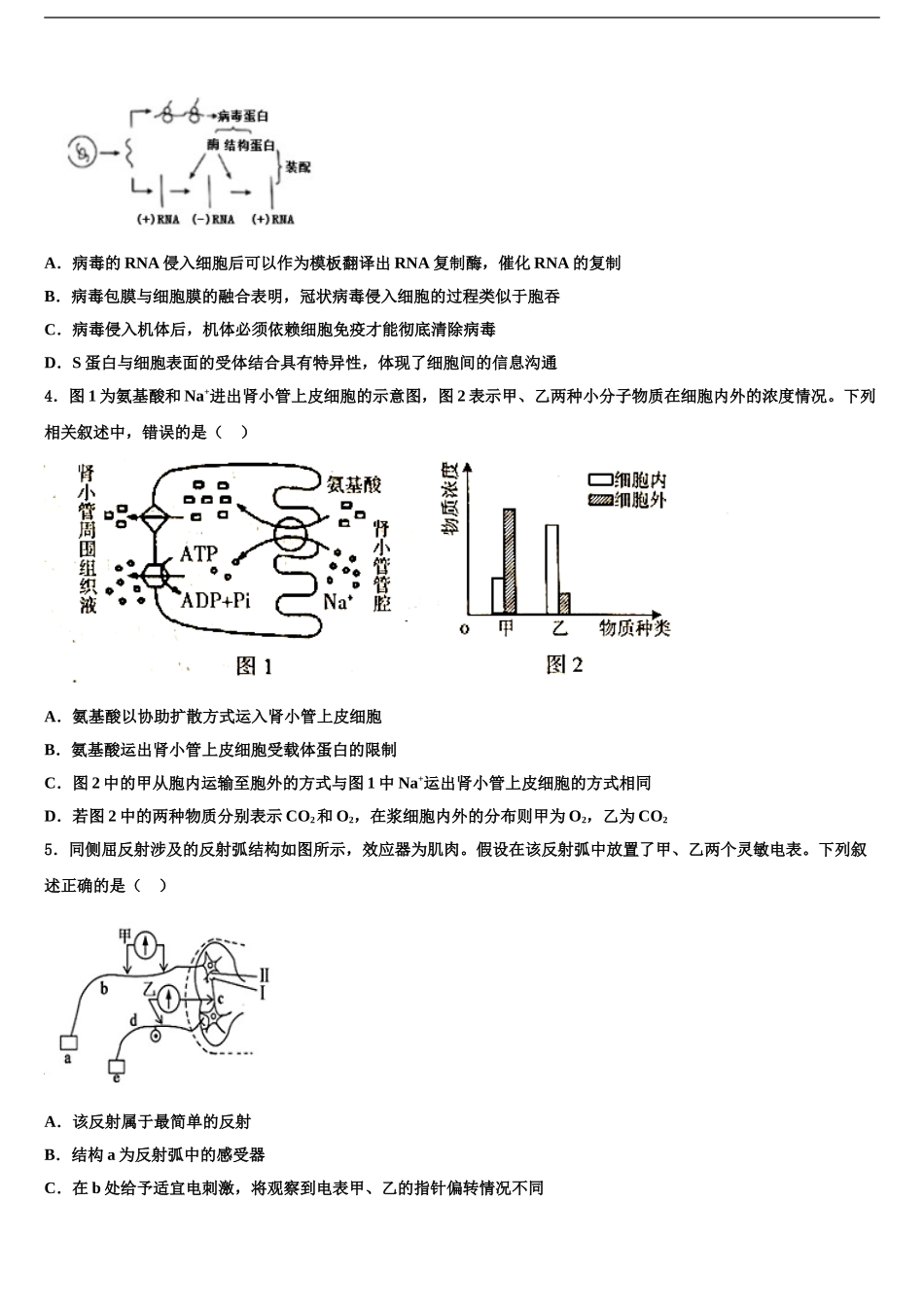 2024年江苏省盐城市盐城初级中学高考冲刺生物模拟试题含解析_第2页
