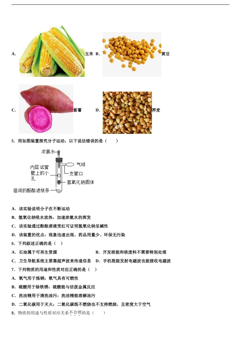 2024年江苏省镇江市扬中市重点中学中考化学模拟精编试卷含解析_第2页