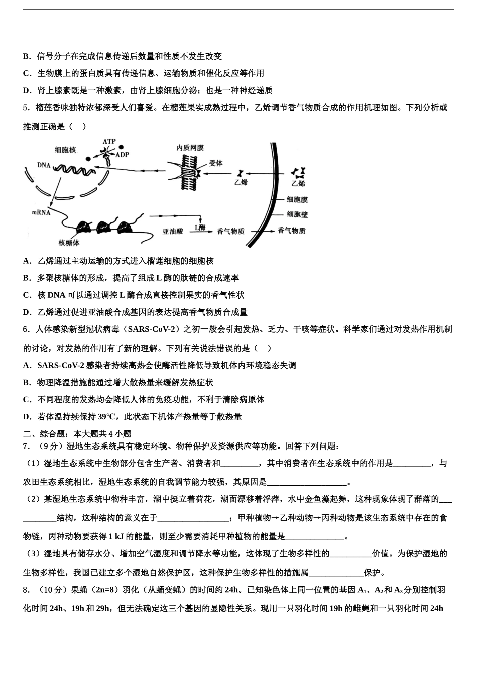 2024年江苏省黄桥中学高三第三次测评生物试卷含解析_第2页