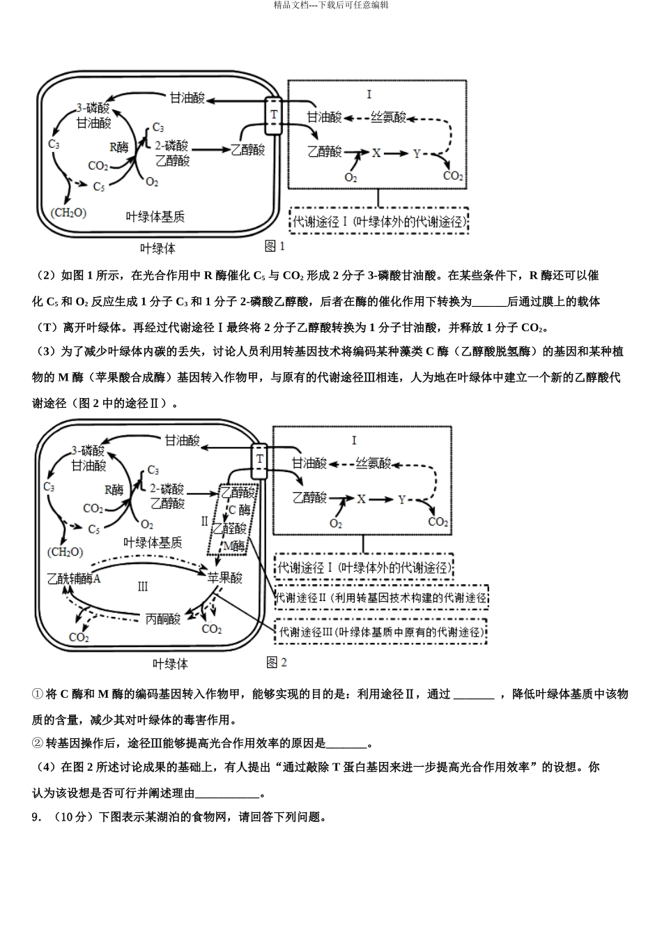 2024年江西省南昌市实验中学高三六校第一次联考生物试卷含解析_第3页