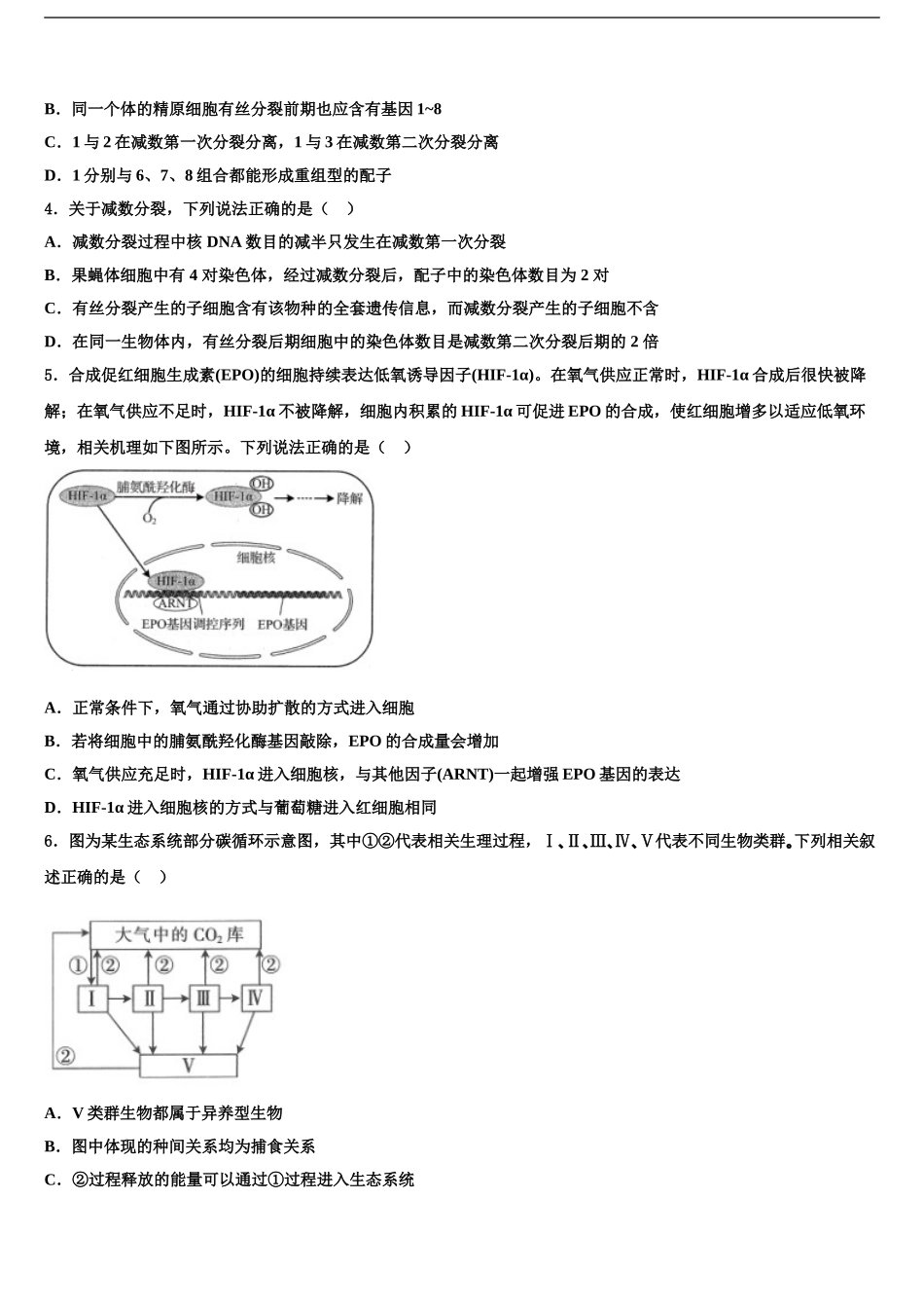 2024年江西省新余第四中学高考仿真模拟生物试卷含解析_第2页