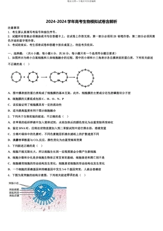 2024年河北狮州市高三下学期一模考试生物试题含解析