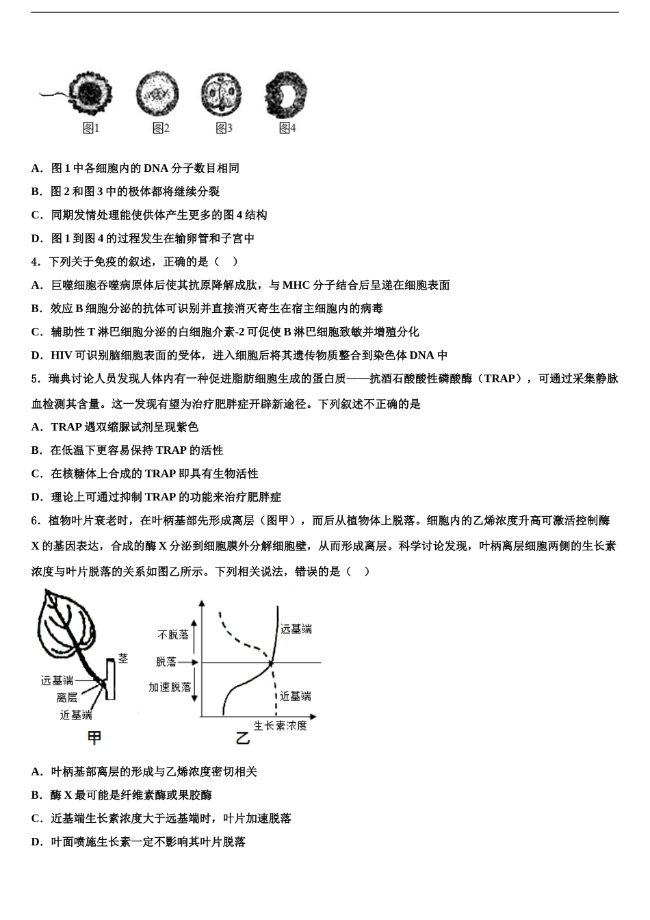 2024年河北省沧州市沧县中学高三适应性调研考试生物试题含解析_第2页