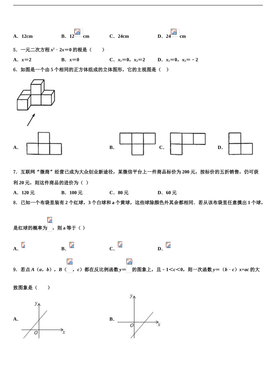 2024年河北省石家庄市裕华区实验中学中考数学模拟试题含解析_第2页