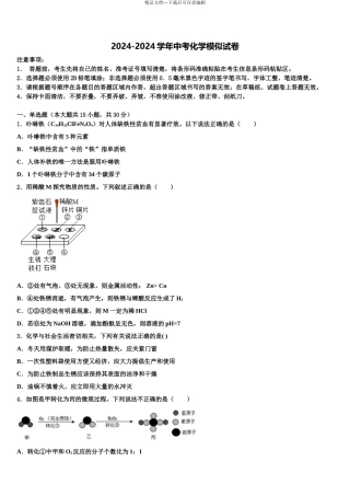 2024年河北省石家庄市裕华区重点达标名校中考五模化学试题含解析