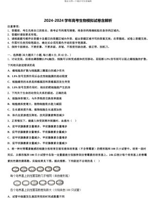 2024年河北省邢台市桥西区邢台八中高三最后一模生物试题含解析