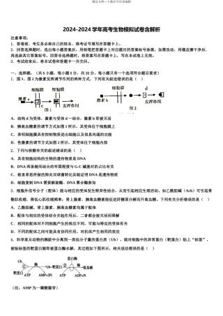 2024年河北省鸡泽、曲周、邱县、馆陶四县高考生物押题试卷含解析