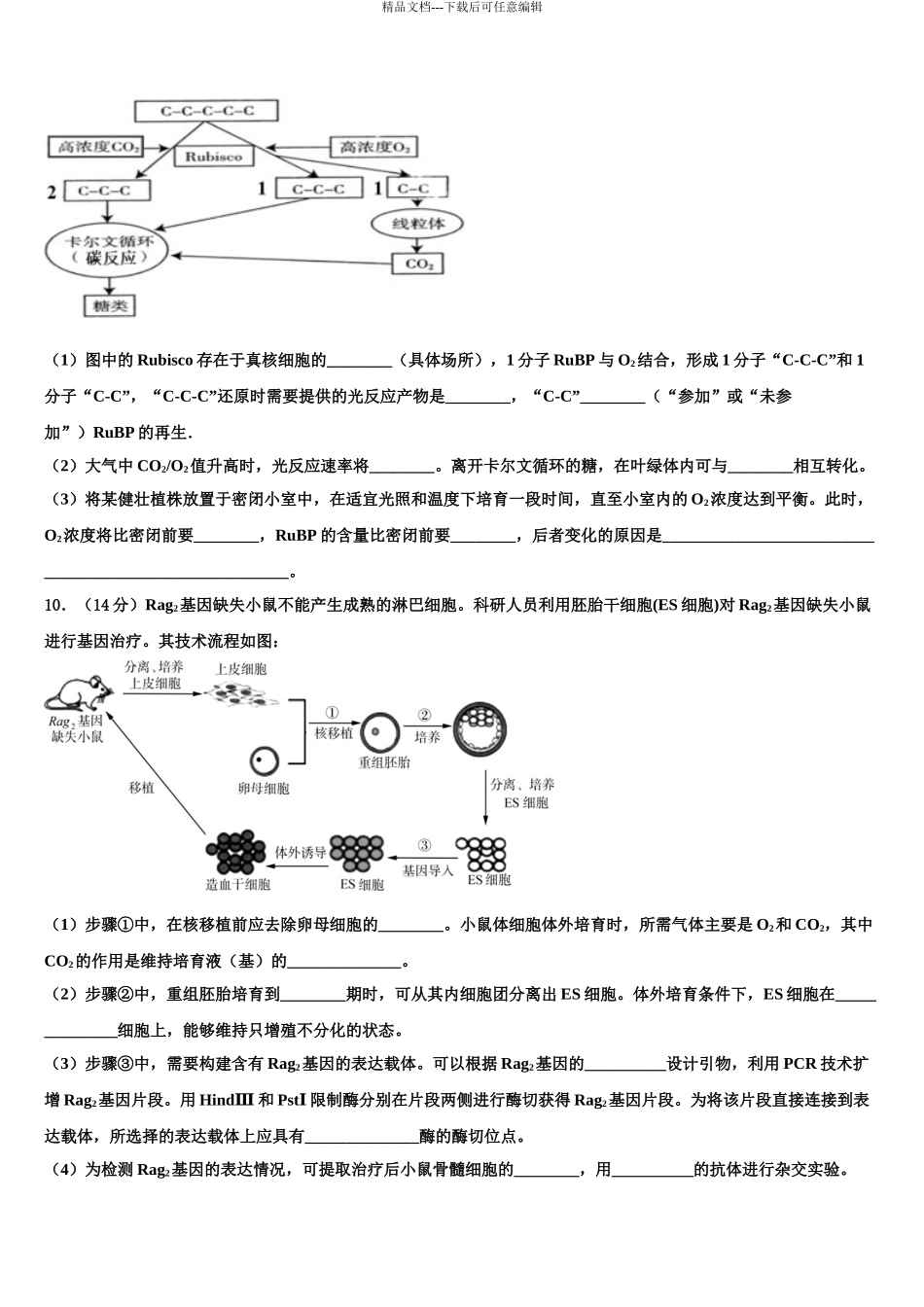 2024年河北衡水高考生物三模试卷含解析_第3页
