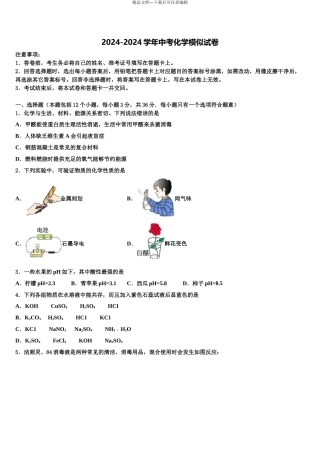 2024年河南省南阳宛城区四校联考中考化学对点突破模拟试卷含解析