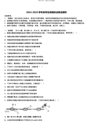 2024年河南省普通高中学高三冲刺模拟生物试卷含解析