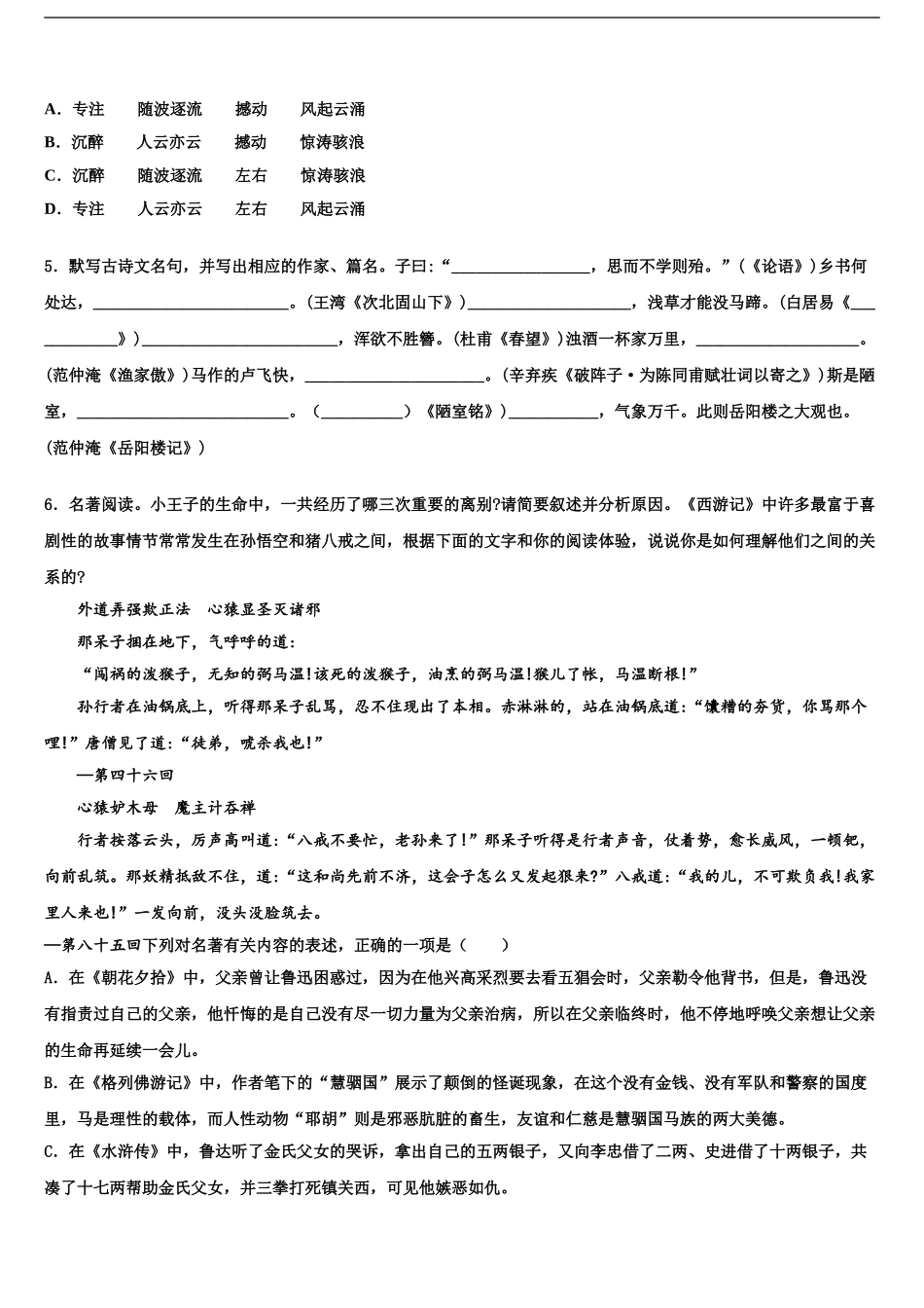 2024年河南省洛阳市汝阳县实验初中中考语文对点突破模拟试卷含解析_第2页