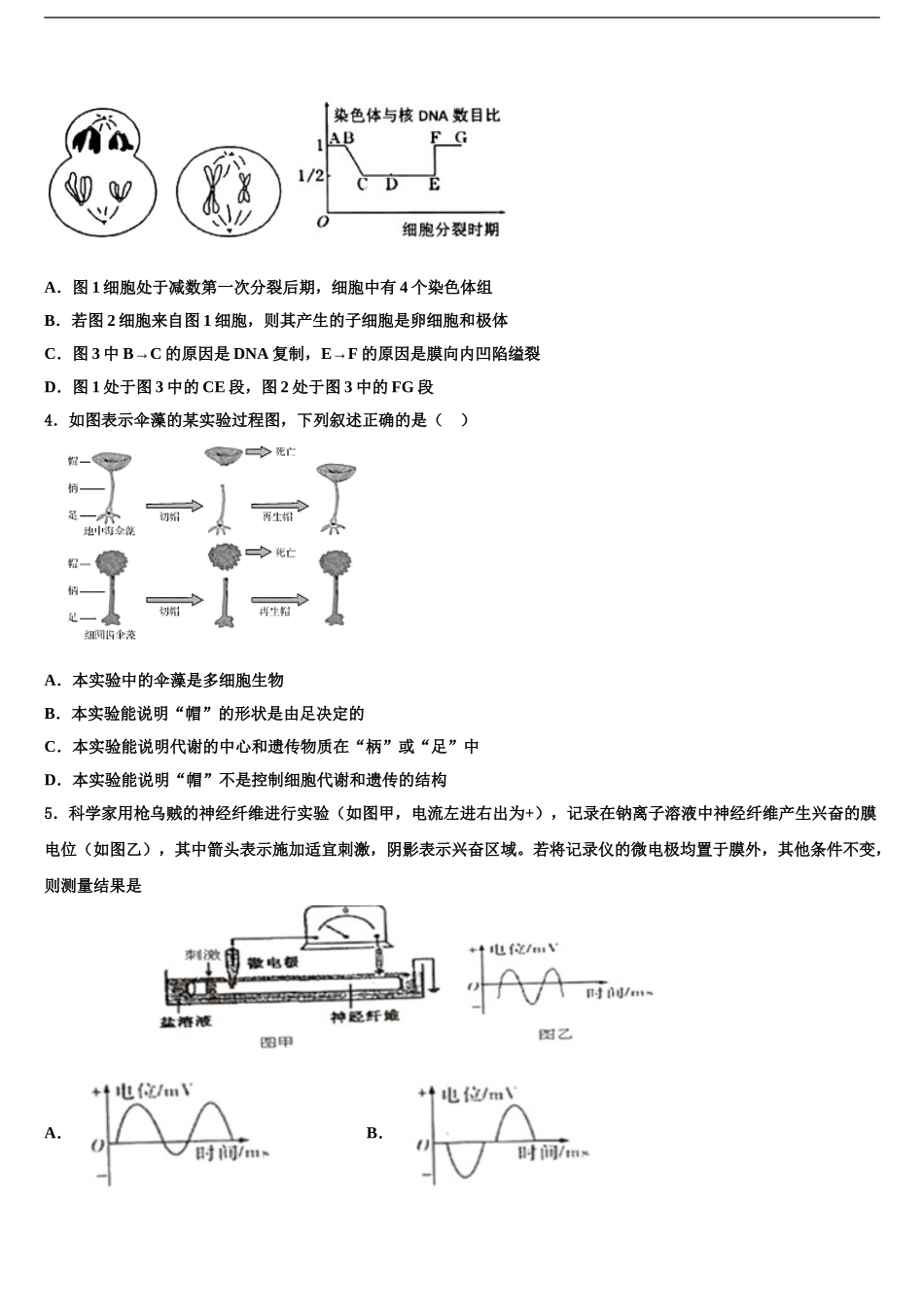 2024年河南省罗山高中老校区高考冲刺模拟生物试题含解析_第2页
