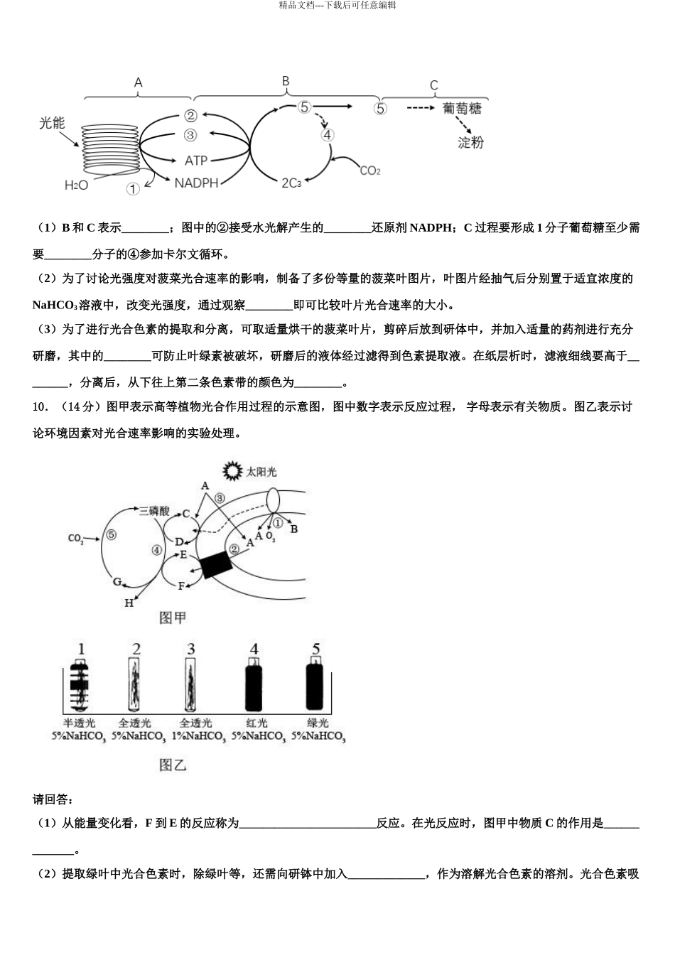 2024年河南省辉县市第一中学高三第三次测评生物试卷含解析_第3页