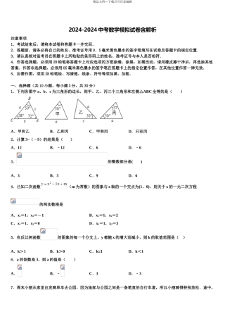 2024年河南省郑州枫杨外国语中学中考押题数学预测卷含解析
