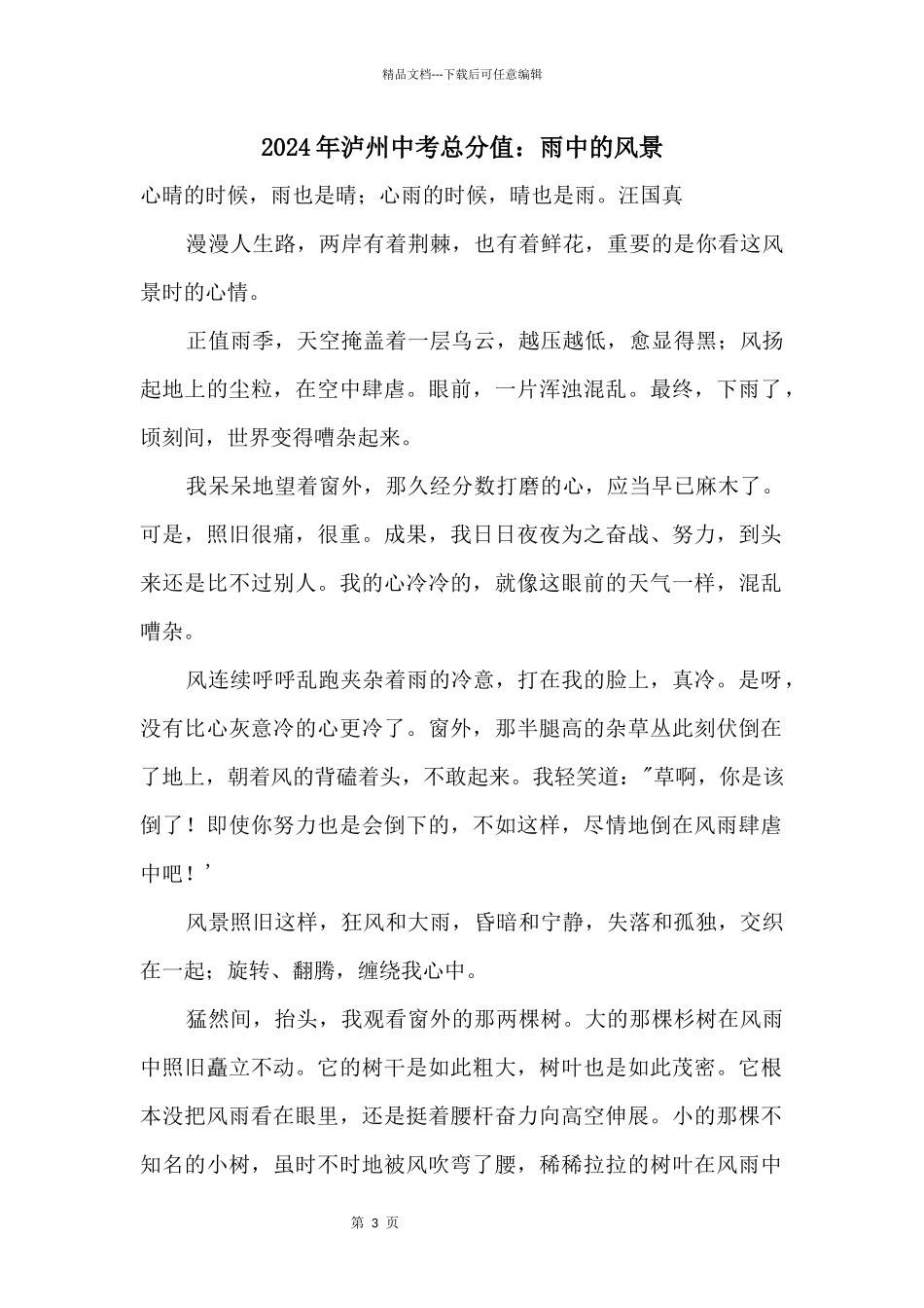 2024年泸州中考满分：雨中的风景_第1页