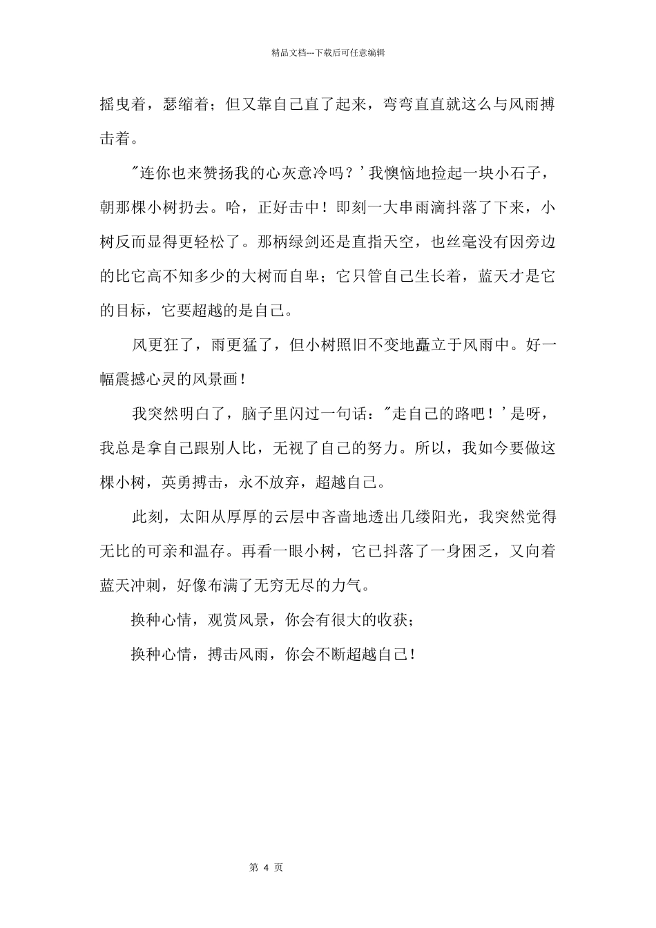 2024年泸州中考满分：雨中的风景_第2页