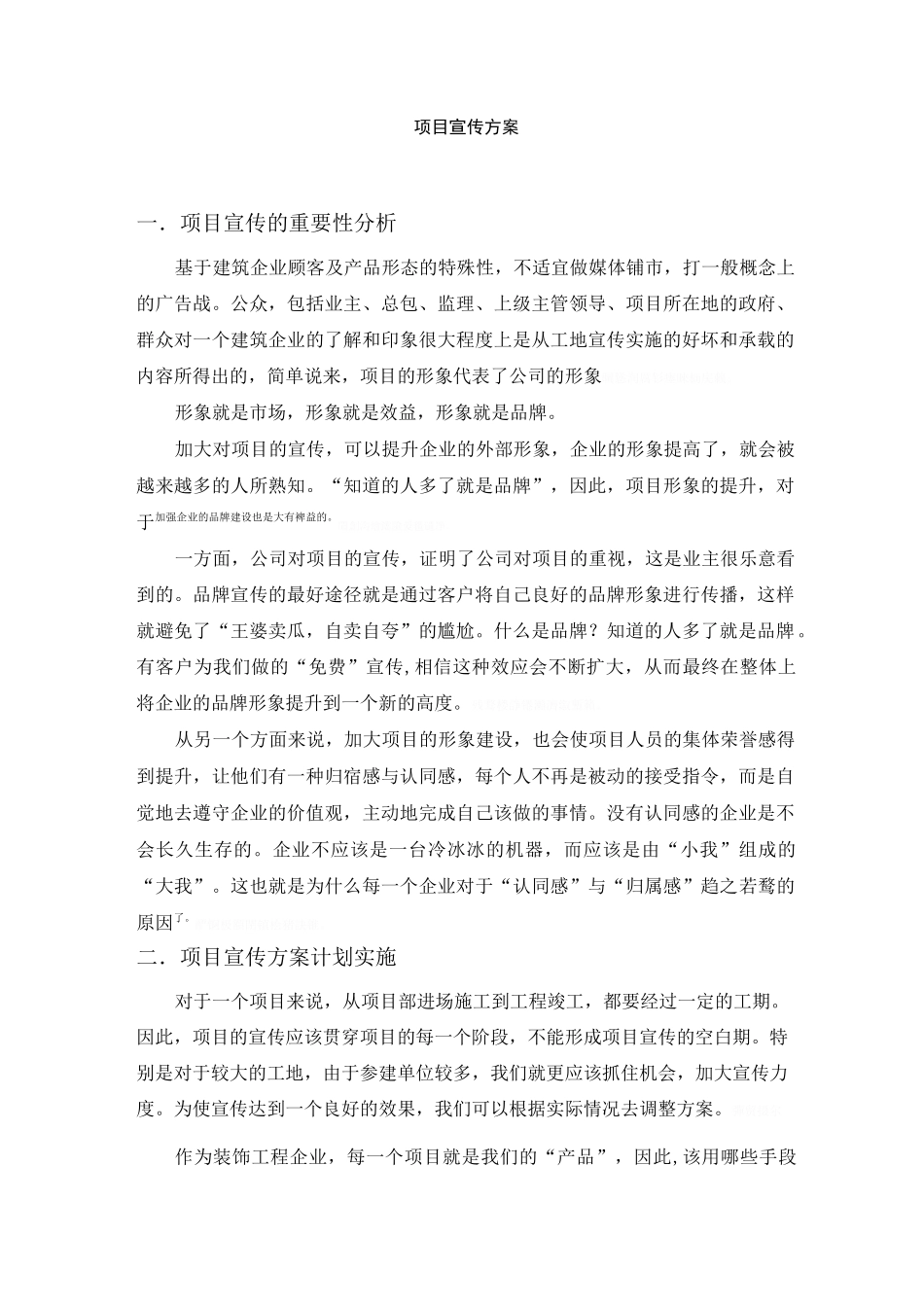 项目宣传具体方案_第1页