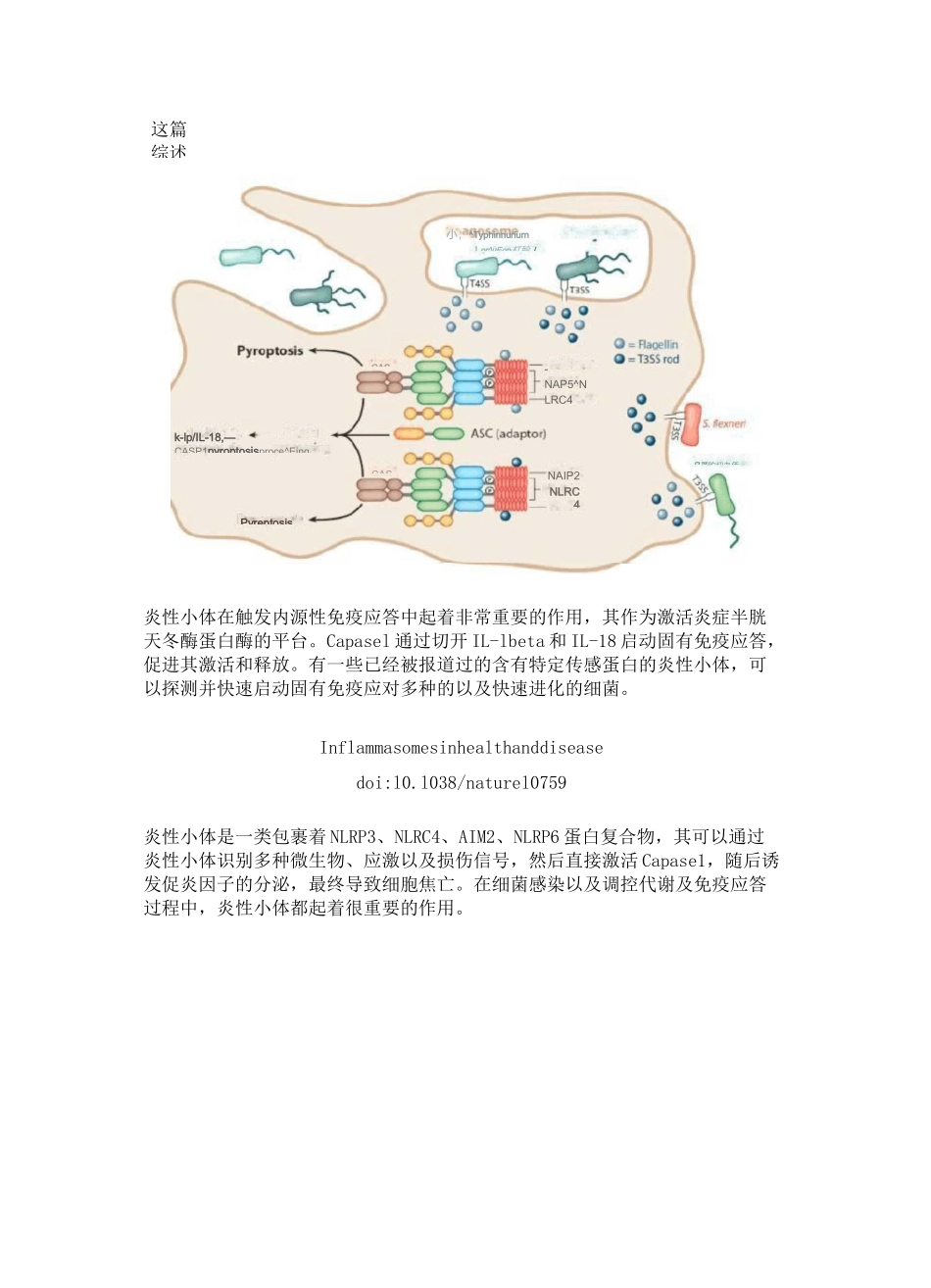 细胞焦亡介绍_第3页