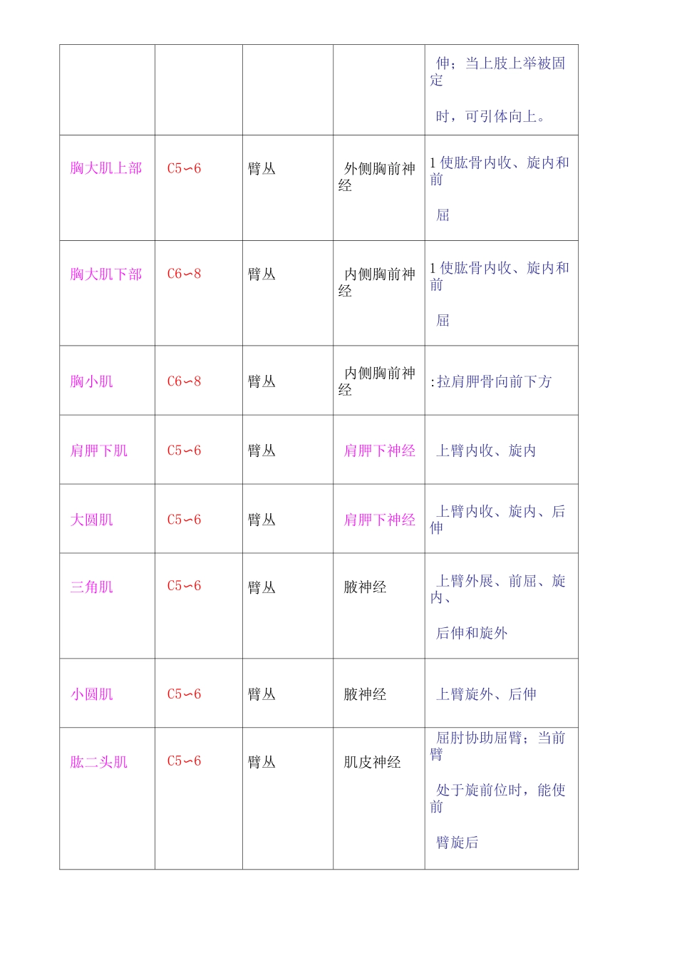 四肢肌肉神经支配_第2页