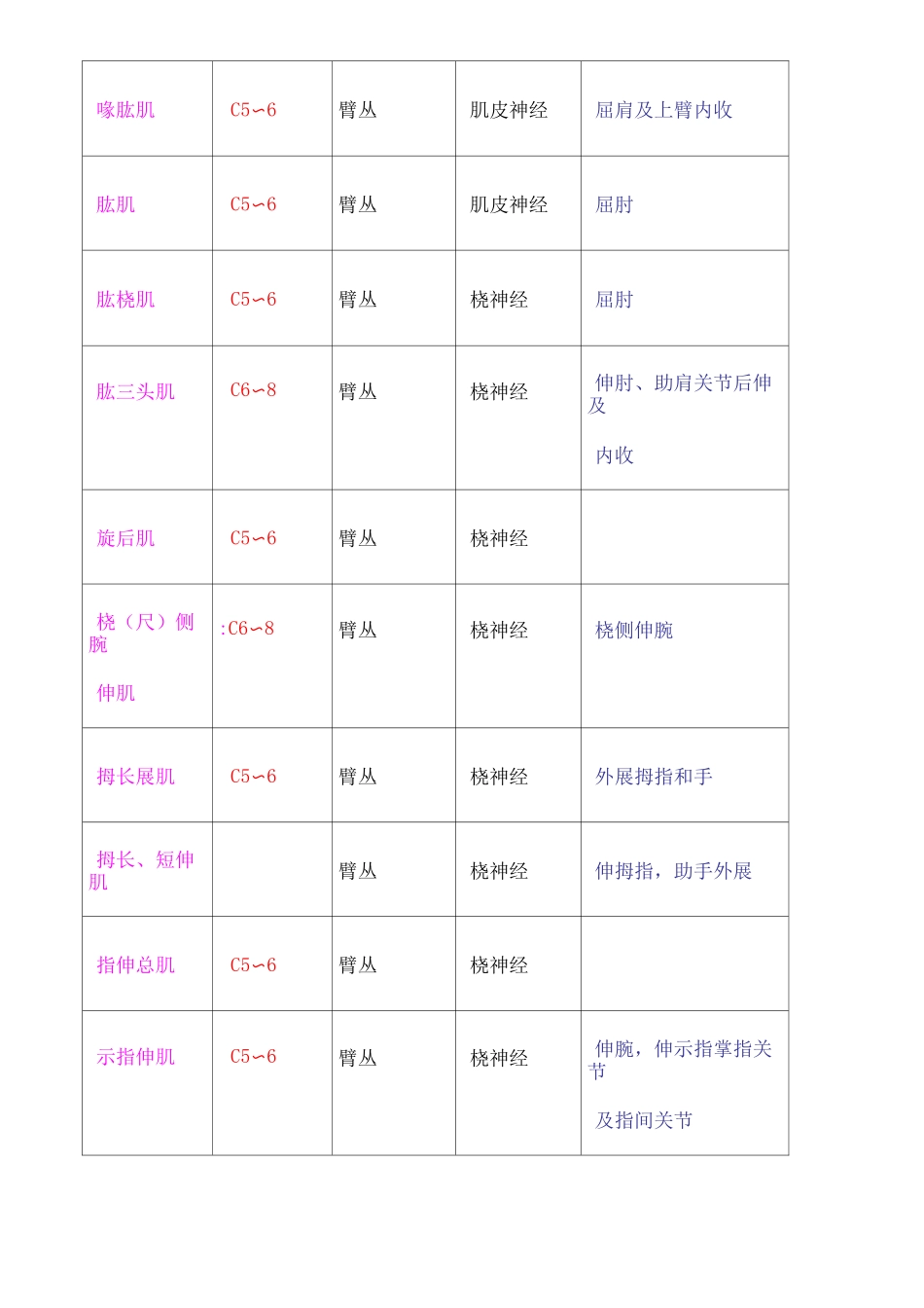 四肢肌肉神经支配_第3页