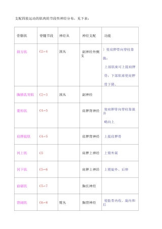 四肢肌肉神经支配