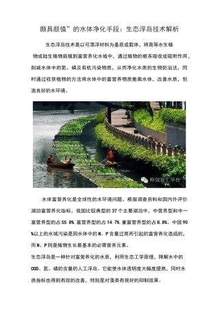 人工浮岛工艺做法