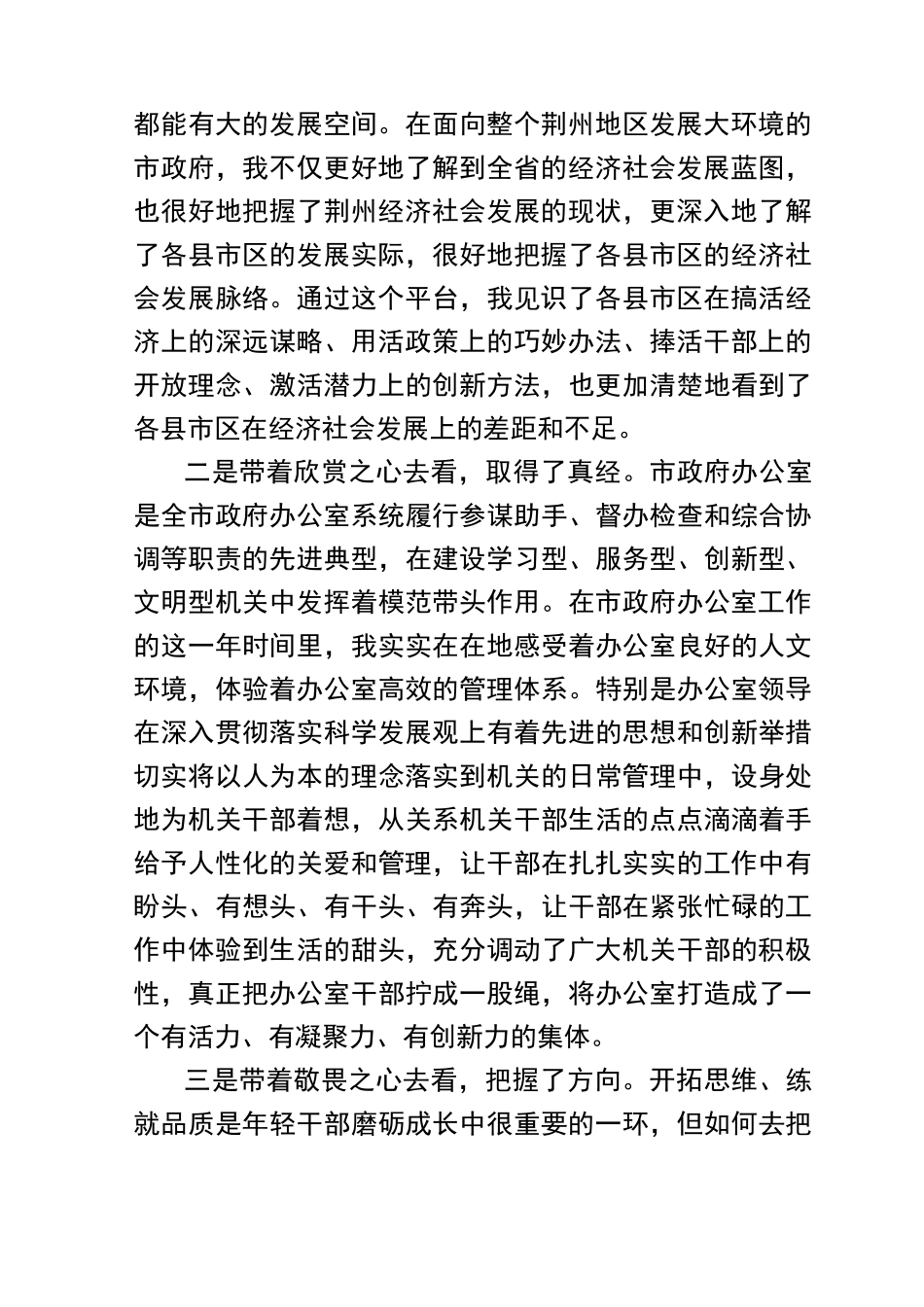 挂职期间工作总结_第2页