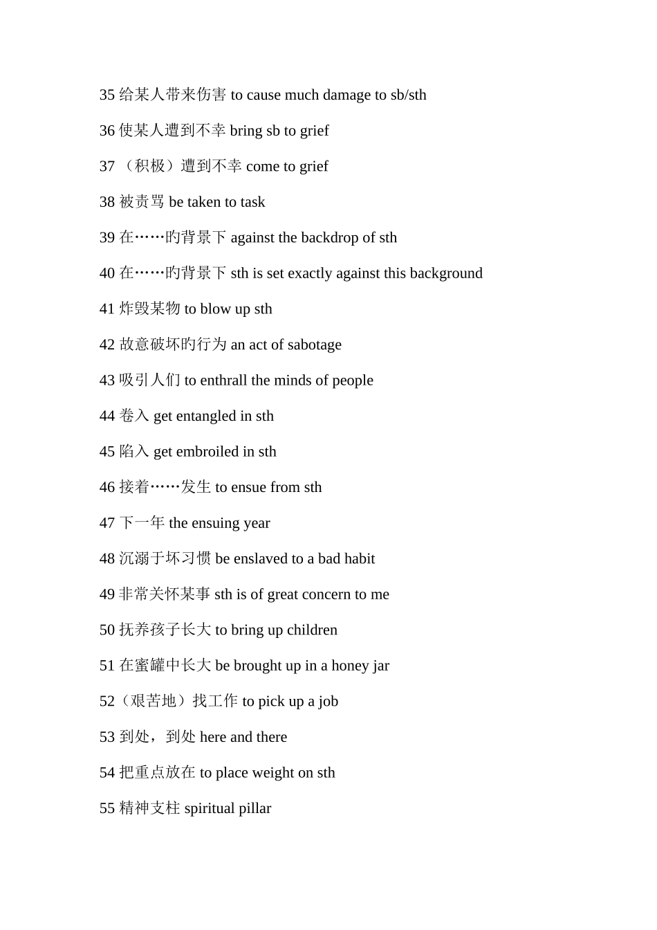 2025年英语专八高频词组地道搭配_第3页