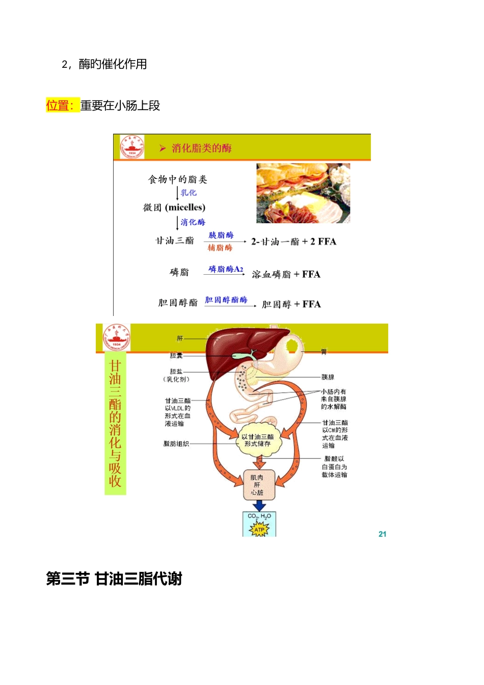 2025年生物化学脂质代谢知识点总结_第2页
