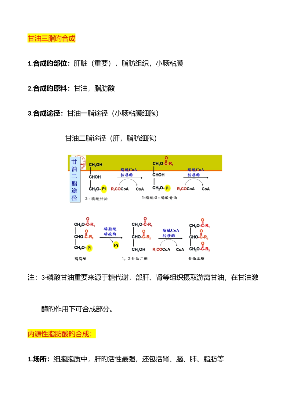 2025年生物化学脂质代谢知识点总结_第3页