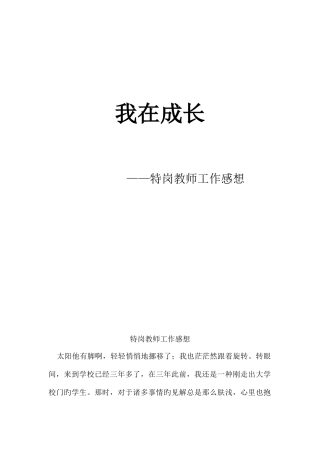 2025年特岗教师工作感想