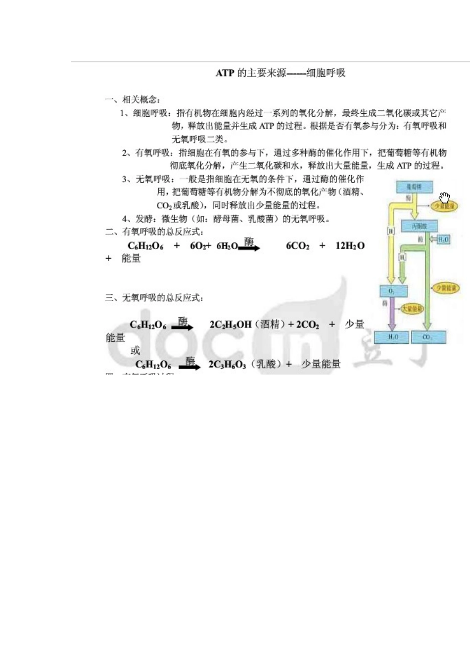 2025年高中生物光合呼吸作用知识点讲解学习_第2页