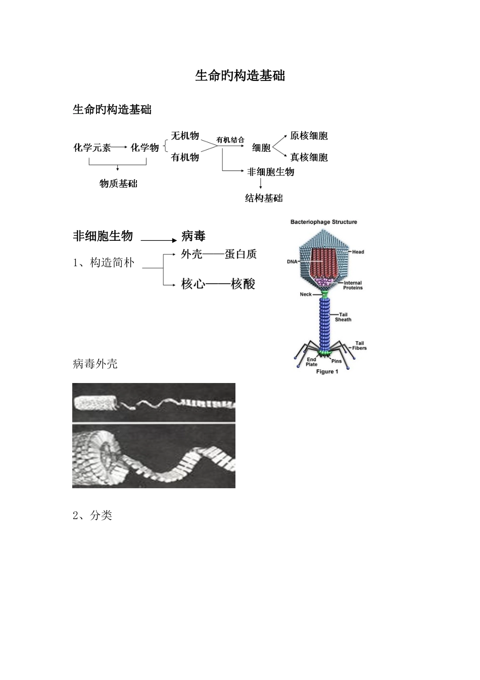 2025年生命的结构基础知识点归纳图片文字解析_第1页