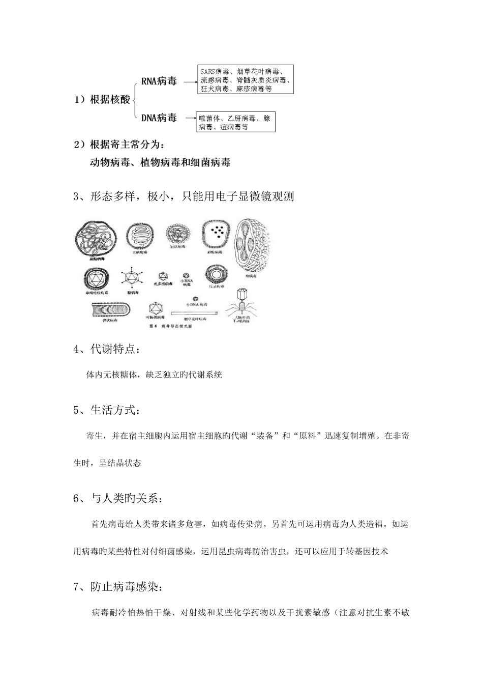 2025年生命的结构基础知识点归纳图片文字解析_第2页