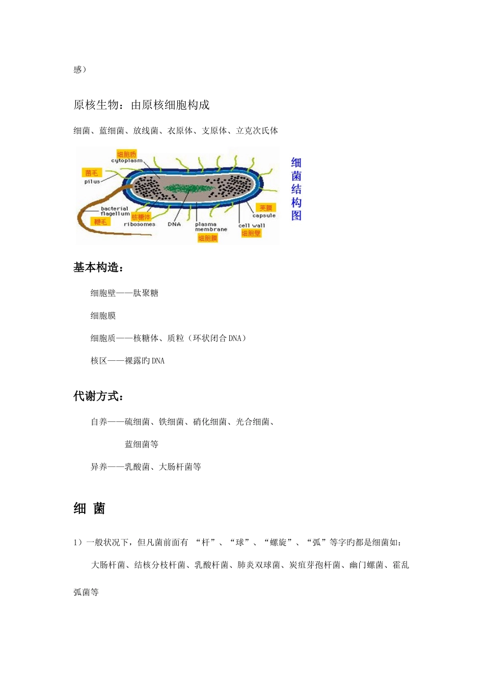 2025年生命的结构基础知识点归纳图片文字解析_第3页