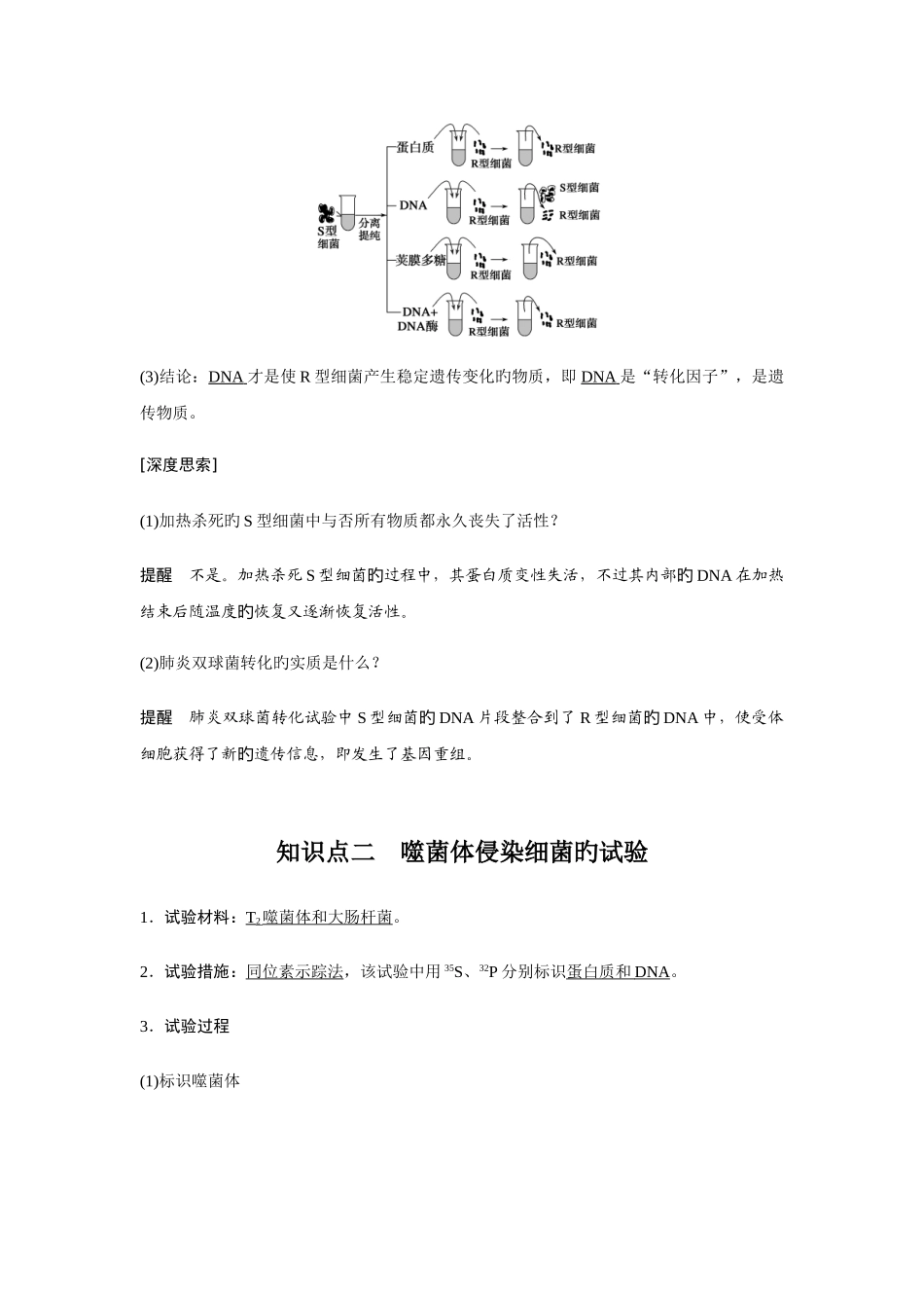2025年生物必修二DNA是主要的遗传物质知识点知识总结基础梳理_第2页