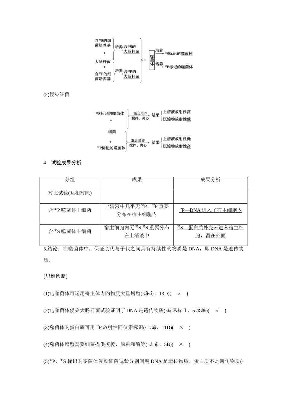 2025年生物必修二DNA是主要的遗传物质知识点知识总结基础梳理_第3页