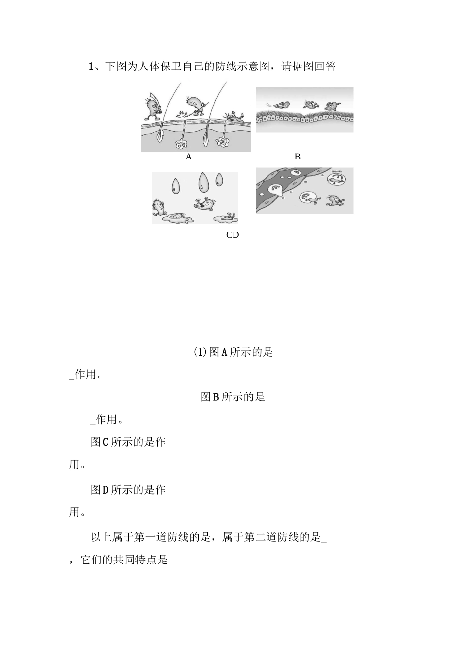 免疫与计划免疫达标试题_第2页