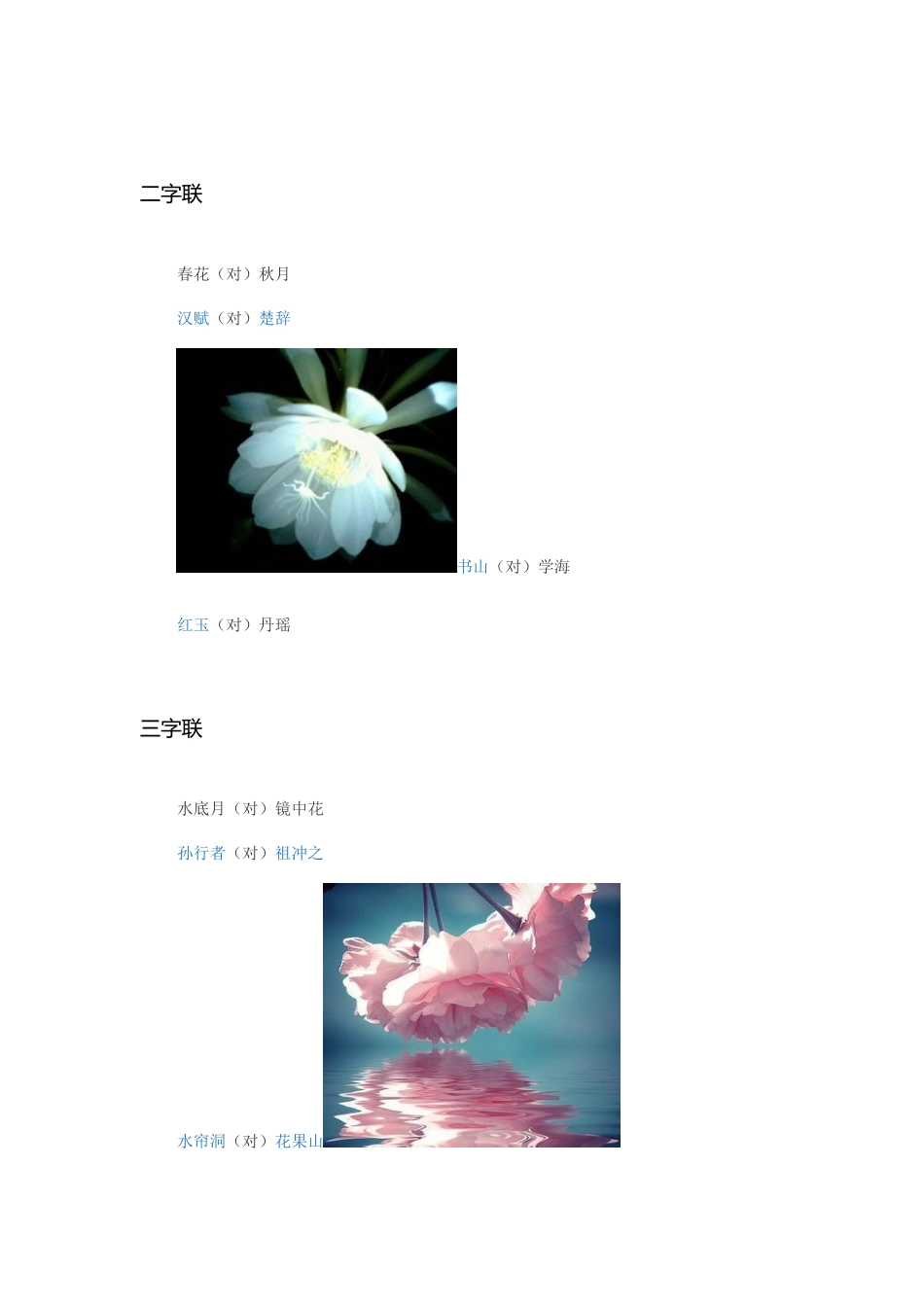 2025年对联能力提升练习小升初热点_第2页