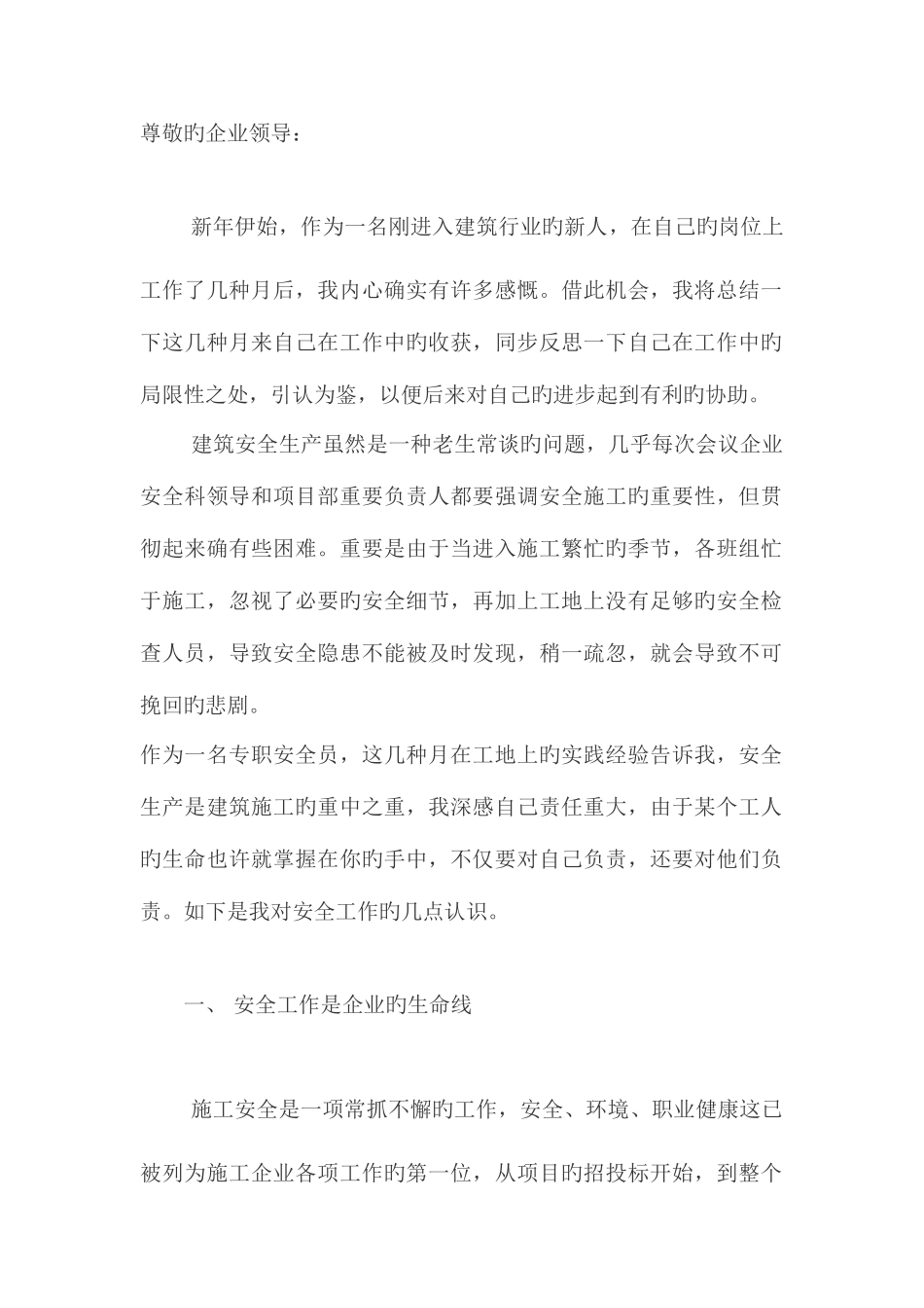 2025年建筑安全员年度个人总结_第1页