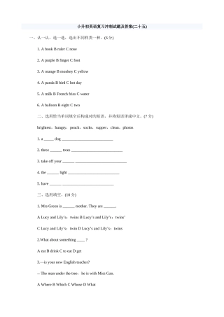 2025年小升初英语复习冲刺试题二十五