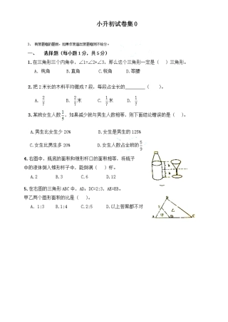 2025年小升初考试题集