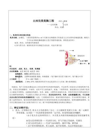 2025年巨邦美胸全套培训资料