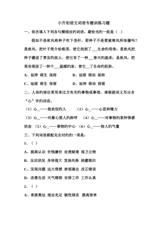 2025年小升初语文词语专项训练习题