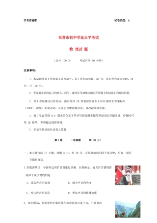 2025年山东省东营市中考物理真题试题含答案
