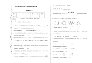 2025年小升初数学试卷及答案