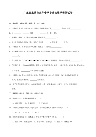 2025年广东省东莞市东华中学小升初模拟试卷数学