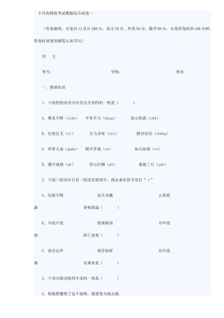 2025年小升初择校考试模拟综合试卷一